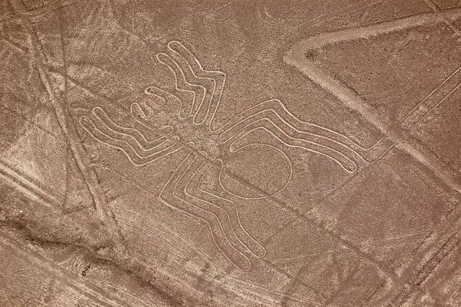 The Nazca Lines & Huacachina Oasis from Lima - Private Trip - From the airport to Huacachina: desert fun at speed