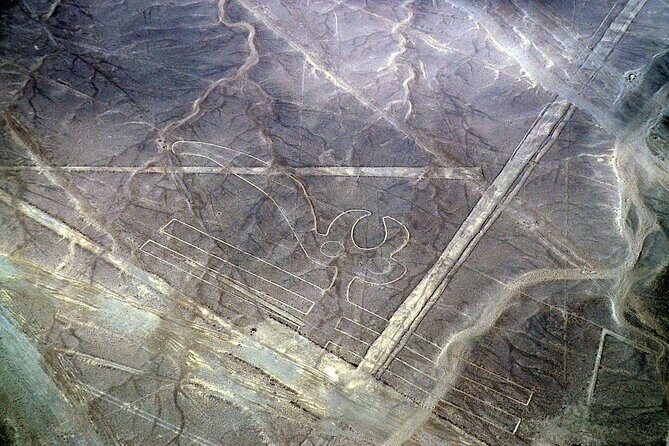 The Nazca Lines & Huacachina Oasis from Lima - Private Trip - Guides and drivers: the real difference maker on a long day