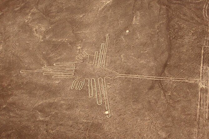 The Nazca Lines & Huacachina Oasis from Lima - Private Trip - Logistics you should plan for: what to pack and what to expect