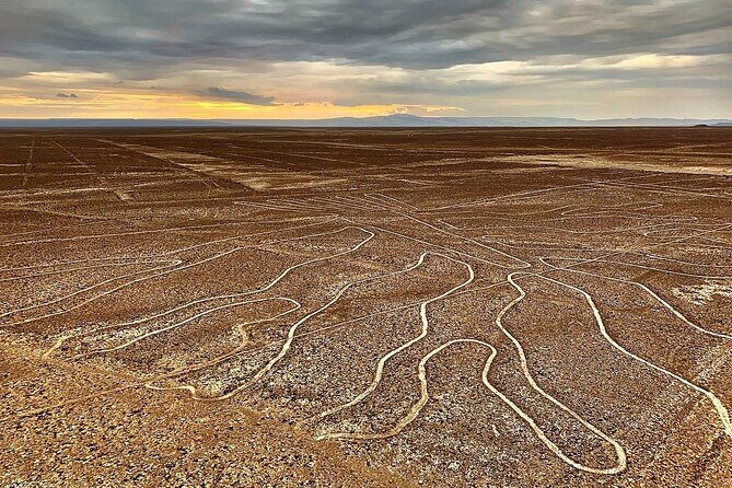 The Nazca Lines & Huacachina Oasis from Lima - Private Trip - Riding to Nazca: more than just driving through desert