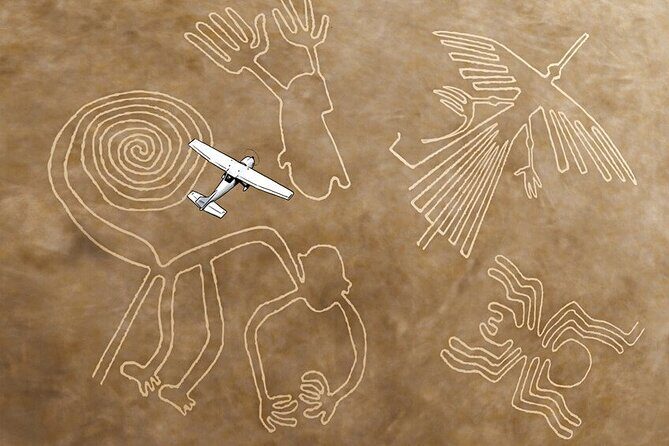 The Nazca Lines, Paracas & Huacachina Oasis (2D/1N) Private Trip - Paracas National Reserve: desert formation + migratory birds