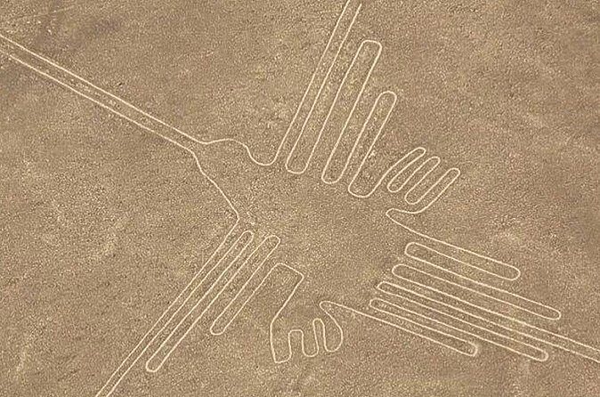 The Nazca Lines, Paracas & Huacachina Oasis (2D/1N) Private Trip - Nazca Lines overflight: seeing the figures from the air