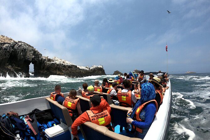 Visit the Sea Lions in Palomino Islands, in Lima Peru - The Itinerary Rhythm: Stop-by-Stop What You’ll Actually Do